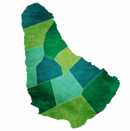  Magnetická mapa Barbadosu, ilustrovaná, zelená