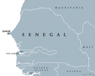  Magnetická mapa Senegalu, ilustrovaná, šedá